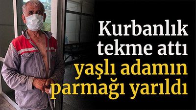 Kurbanlık tekme attı yaşlı adamın parmağı yarıldı